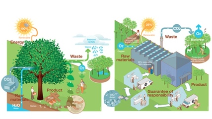 廚房革命:污染、浪費大作戰